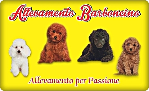 Banner2016 allevamentobarboncino.it
