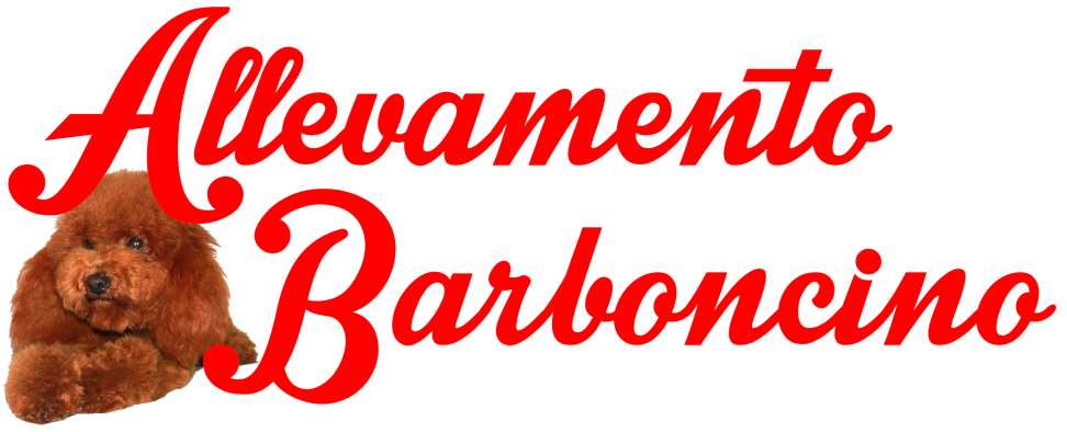 Allevamento Barboncino Logo